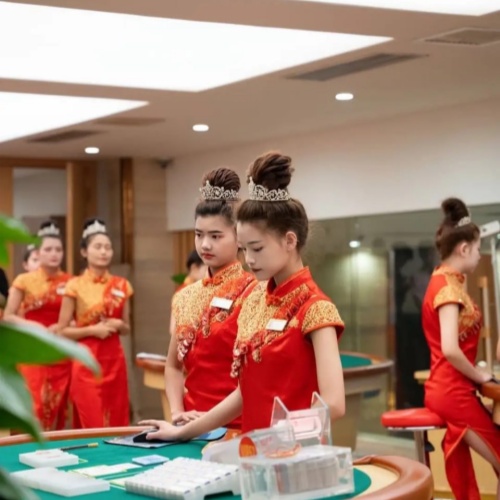 圣淘沙公司环境